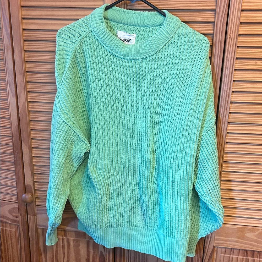 Aerie Mint Green Crew Neck Sweater
